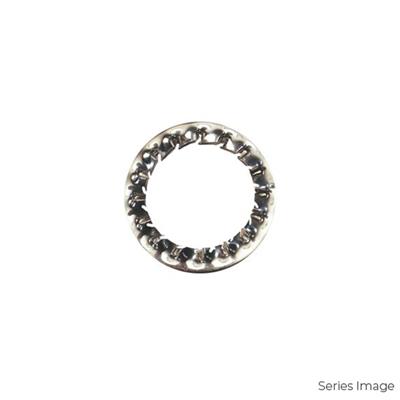 CMP 40SW4 - Serrated Washer M40 Stainless Steel