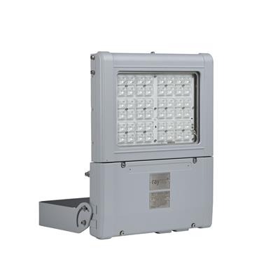 Raytec SPI LED Mid Power Flood Light, 60W, 120x15°